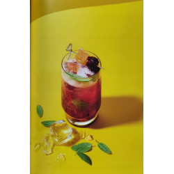 Syrop SodaStream Lipton Ice Tea Peach Bez Cukru Herbata Brzoskwinia