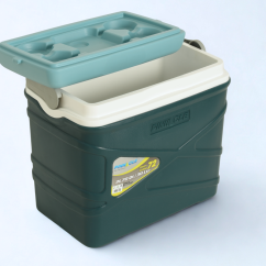 Przenośna Lodówka Turystyczna 30L PINNACLE Pasco TPX8007