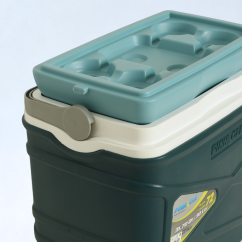 Przenośna Lodówka Turystyczna 30L PINNACLE Pasco TPX8007