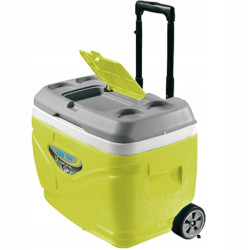 Lodówka turystyczna na kołach duża Pinnacle TPX3007 30L zielona