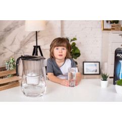 filtr do dzbanka Aquaphor Maxfor+ H do twardej wody Wkład wymienny